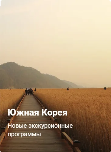 Южная Корея Анекс